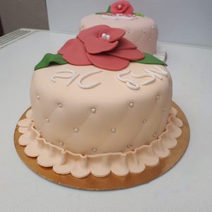 dicake (13)