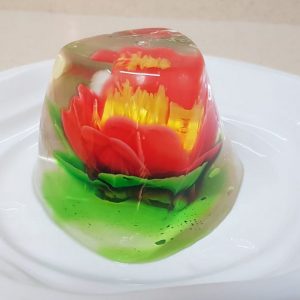 dicake (24)